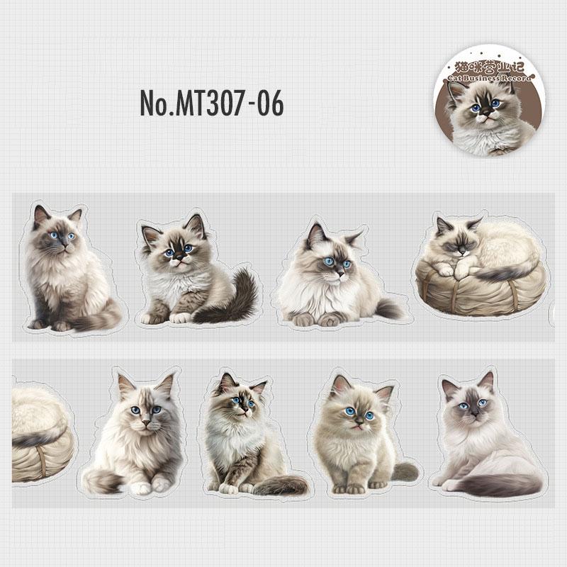 MT307|動物 猫 写真 ネコ ねこ