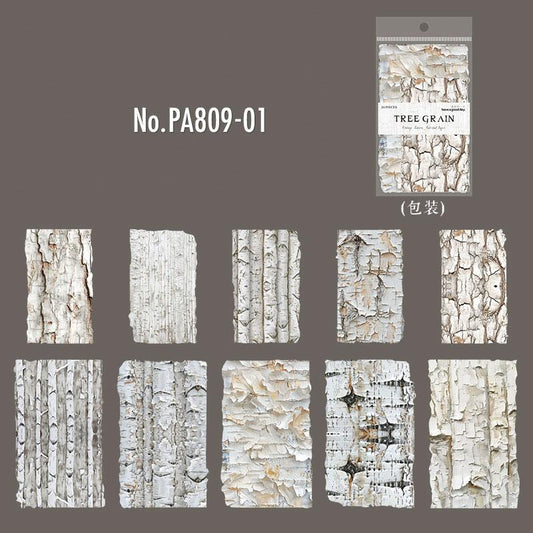 PA809|樹皮 木の皮 木目 シラカバ 白樺
