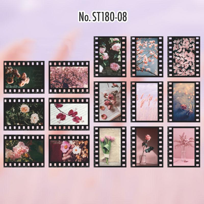 ST180|シール カメラ ネガ フィルム