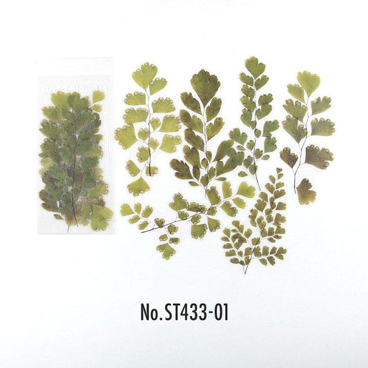 ST433|シール 花 ドライフラワー 押し花 バラ 薔薇