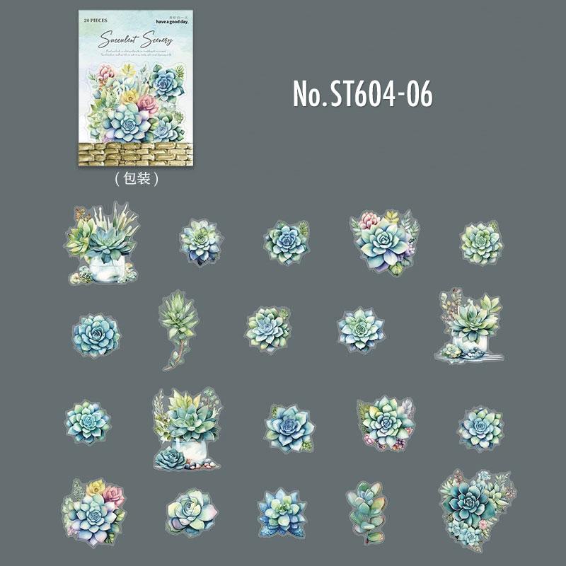 ST604|シール 多肉植物 観葉植物 多肉 植物 エケベリア セダム 寄せ植え