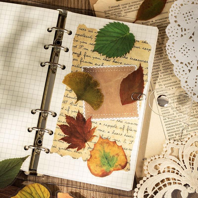 落ち葉・枯葉・紅葉のPETコラージュシール