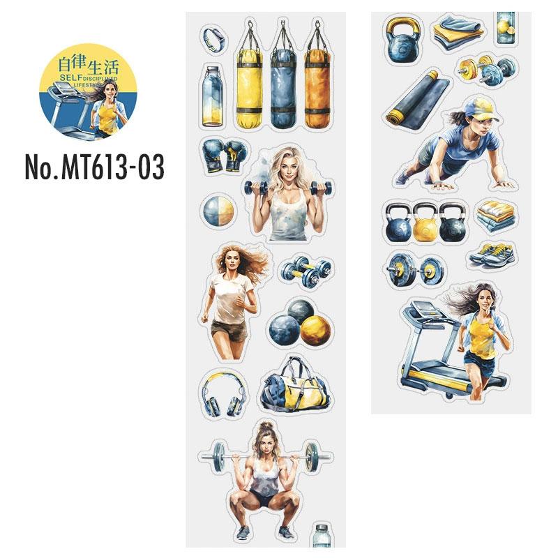 MT613