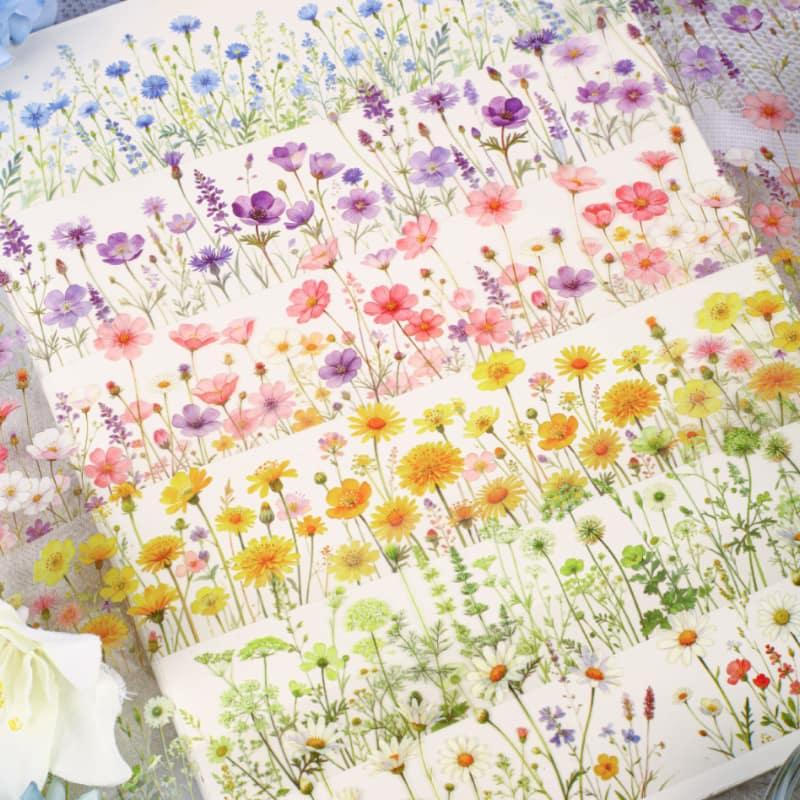 MT947｜野花 花畑 デイジー コスモス 矢車菊 草花