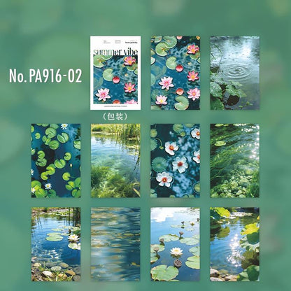 PA916｜PET 水面 水辺 睡蓮 波打ち際 木陰 石畳