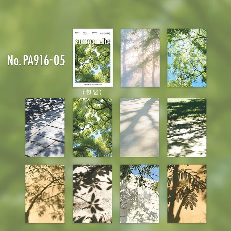 PA916｜PET 水面 水辺 睡蓮 波打ち際 木陰 石畳