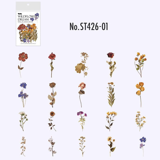ST426｜シール 押し花 果物 フルーツ きのこ 植物