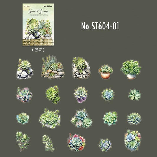 ST604｜シール 多肉植物 観葉植物 多肉 植物 エケベリア セダム 寄せ植え