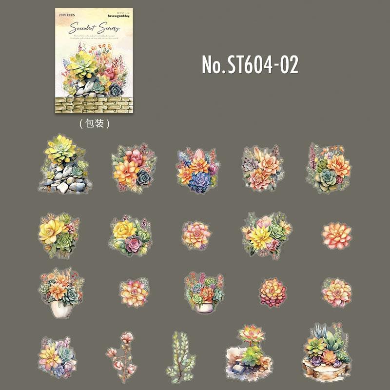 ST604