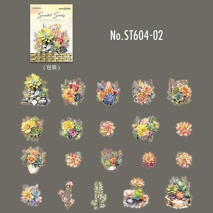 ST604