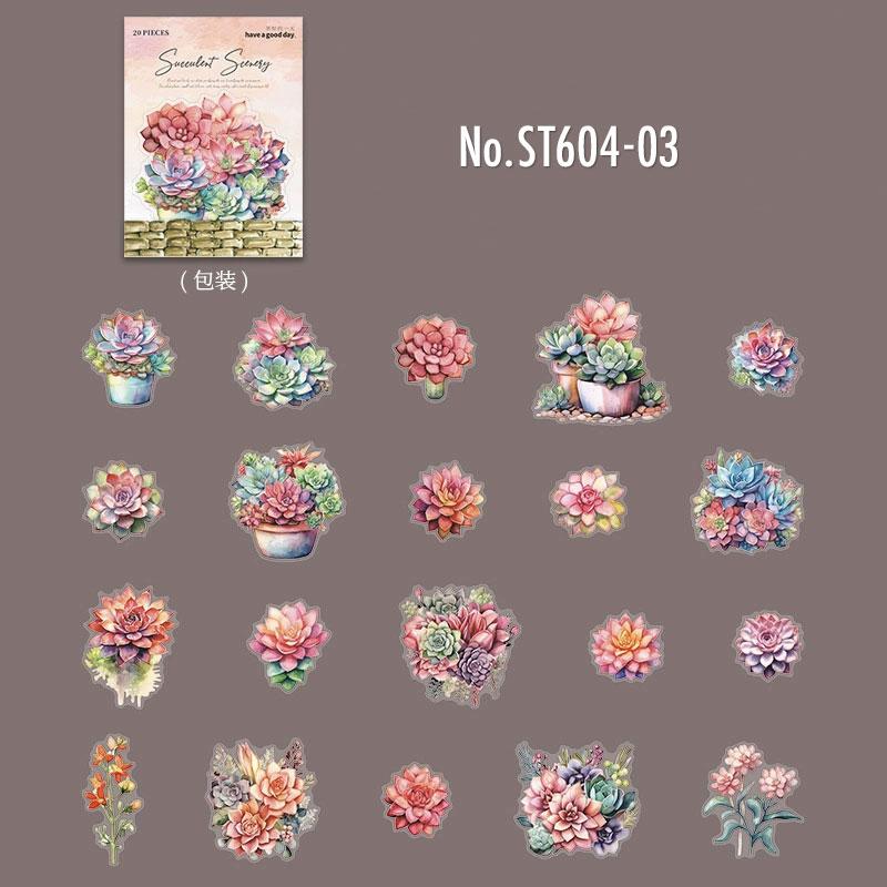 ST604