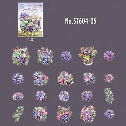 ST604