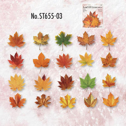 ST655
