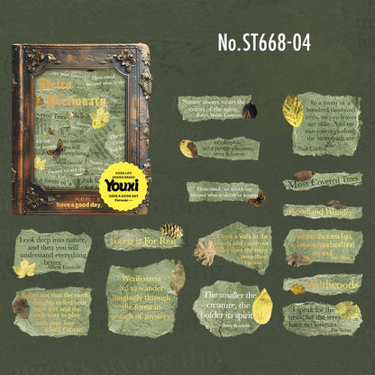 ST668