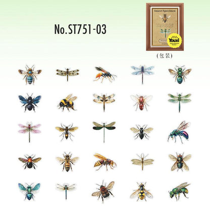 ST751