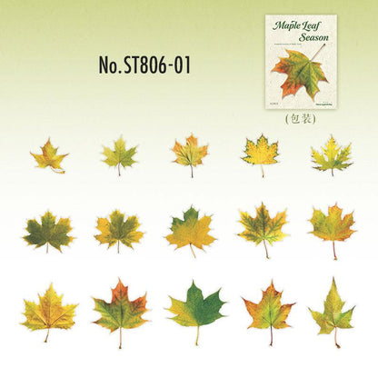 ST806 シール 紅葉 葉っぱ モミジ 楓 カエデ 落ち葉