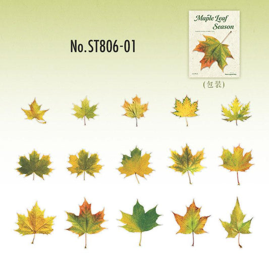ST806｜シール 紅葉 葉っぱ モミジ 楓 カエデ 落ち葉