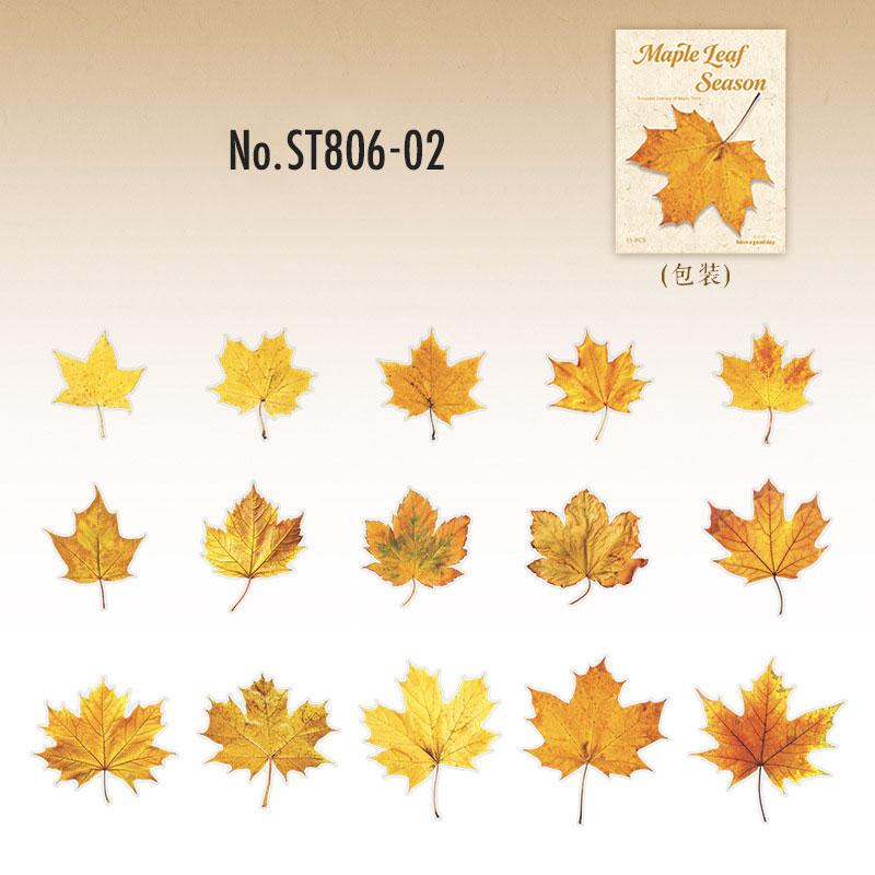 ST806 シール 紅葉 葉っぱ モミジ 楓 カエデ 落ち葉