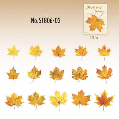 ST806 シール 紅葉 葉っぱ モミジ 楓 カエデ 落ち葉