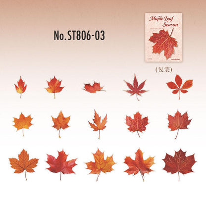 ST806 シール 紅葉 葉っぱ モミジ 楓 カエデ 落ち葉
