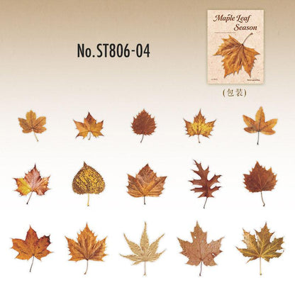 ST806 シール 紅葉 葉っぱ モミジ 楓 カエデ 落ち葉