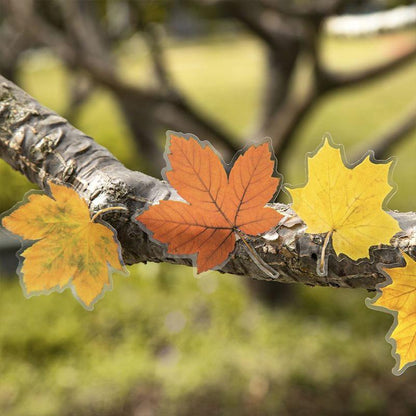 ST806 シール 紅葉 葉っぱ モミジ 楓 カエデ 落ち葉