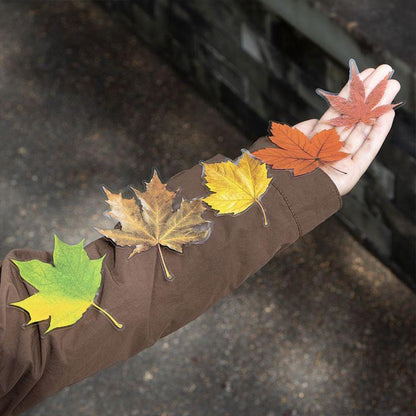 ST806 シール 紅葉 葉っぱ モミジ 楓 カエデ 落ち葉