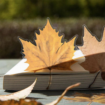 ST806 シール 紅葉 葉っぱ モミジ 楓 カエデ 落ち葉