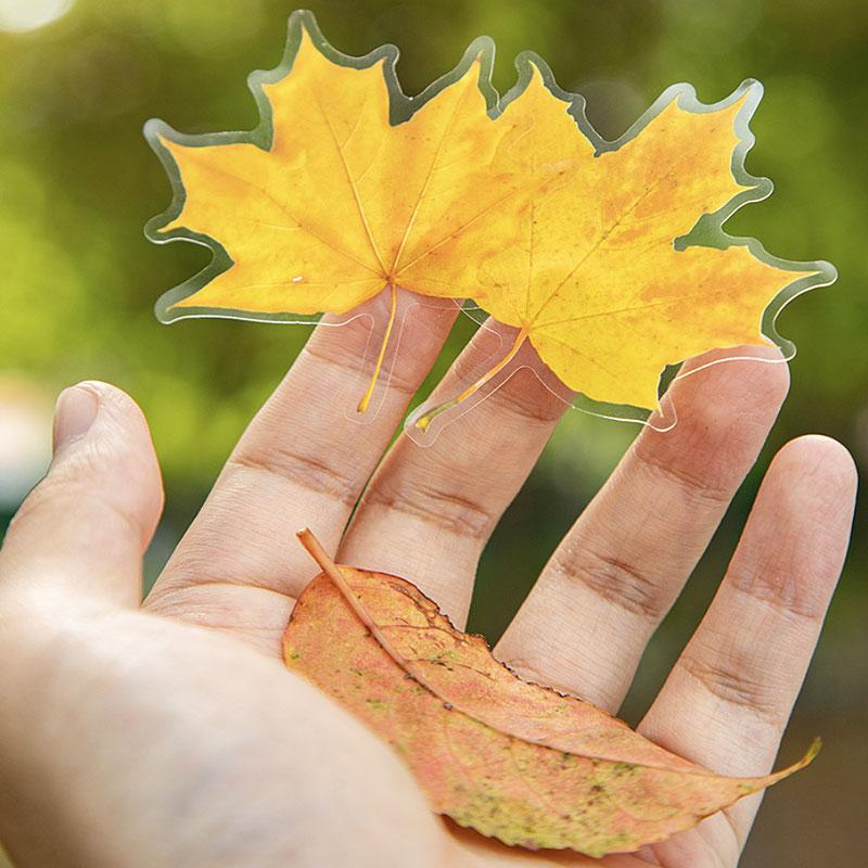 ST806 シール 紅葉 葉っぱ モミジ 楓 カエデ 落ち葉