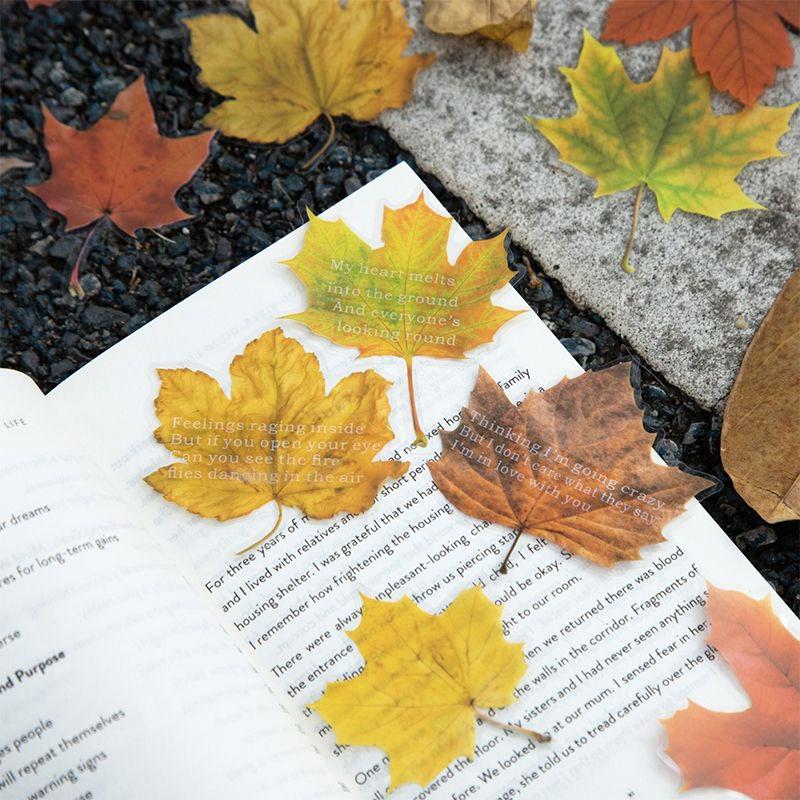 ST806 シール 紅葉 葉っぱ モミジ 楓 カエデ 落ち葉