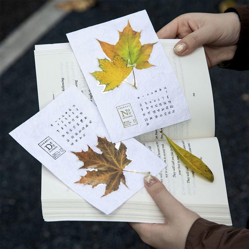 ST806 シール 紅葉 葉っぱ モミジ 楓 カエデ 落ち葉