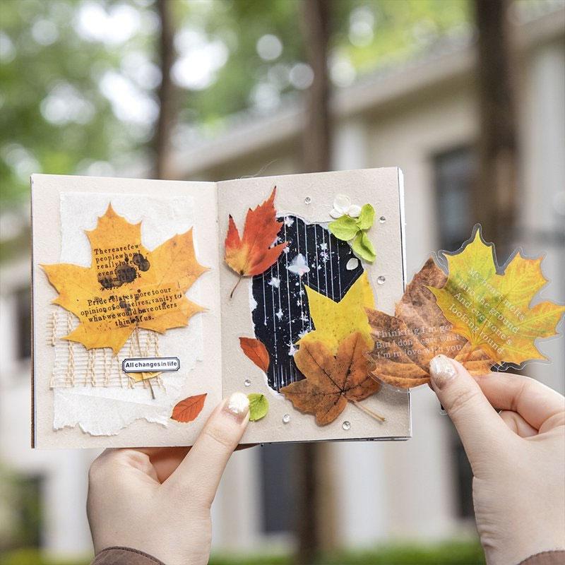 ST806 シール 紅葉 葉っぱ モミジ 楓 カエデ 落ち葉