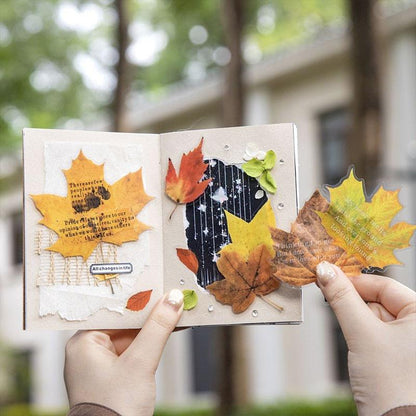 ST806 シール 紅葉 葉っぱ モミジ 楓 カエデ 落ち葉