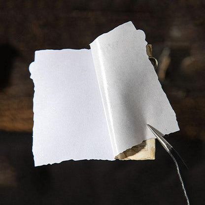 ST813 シール 魔女 お化け 幽霊 新聞 ハロウィン ニュースペーパー