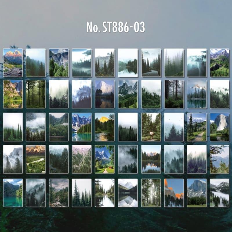 ST886｜風景 背景 写真 海 水面 サクランボ 月 夜空 シールブック