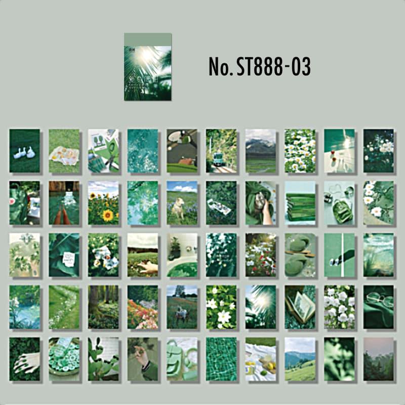 ST888｜風景 背景 写真 バラ 雪景色 緑 シールブック